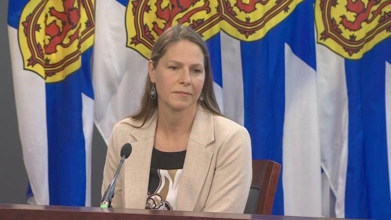 A woman with brown hair wears a beige suit jacket. She sits in front of the Nova Scotia flags at cabinet.