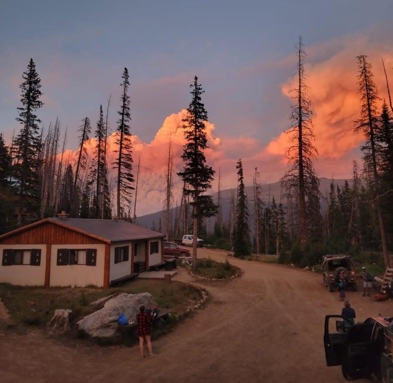 Orange clouds of smoke are seen behind a treeline.