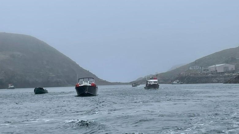 Boats in a body of water on a foggy day.