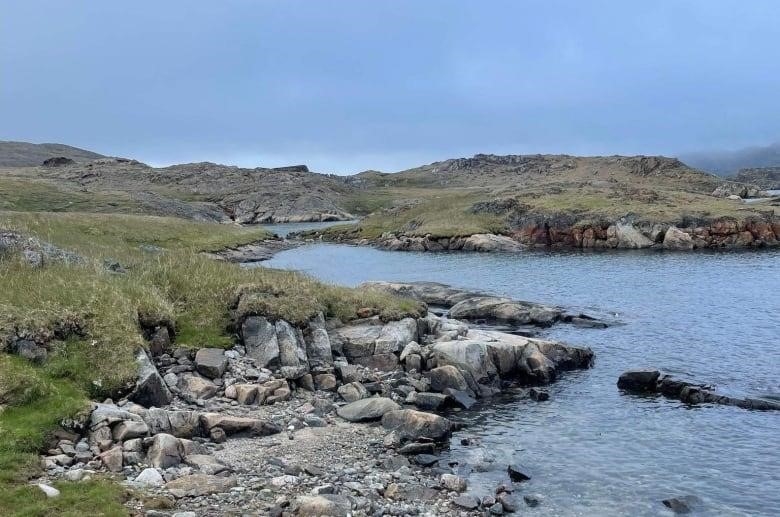 A rocky shore.