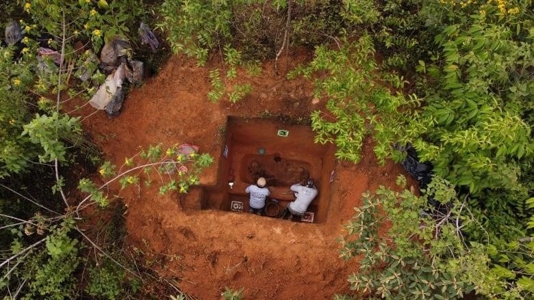 Archaeologists dig in the red soil amid the green foliage of a forested area.