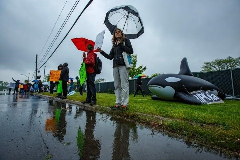 Protestors in the rain. 