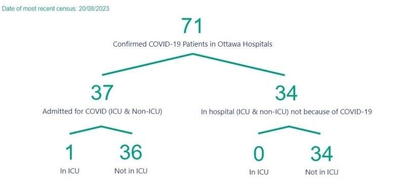 A chart showing the number of people in Ottawa hospitals with COVID.