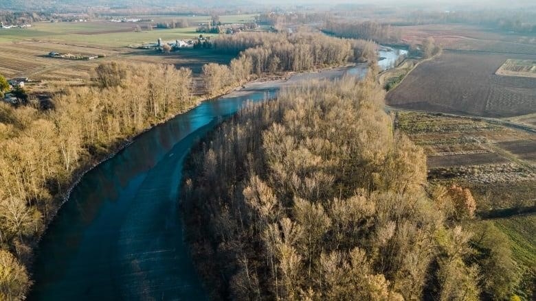 A river is pictured in an aerial shot from above flowing through the countryside, surrounded by trees and farms. 